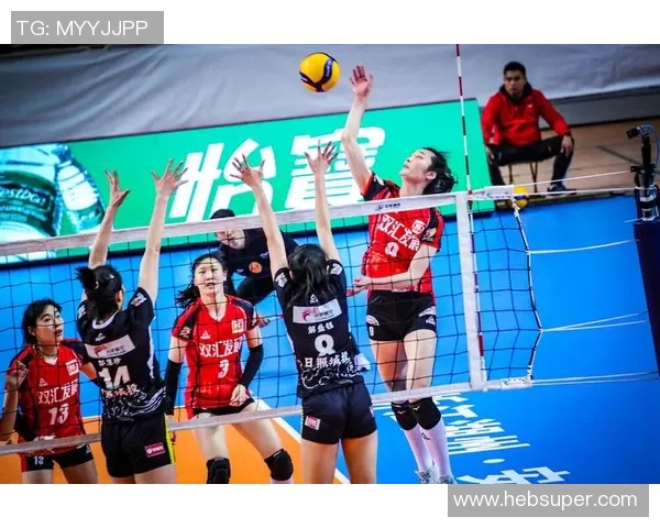 权威发布：2023年排球团队协作实力排行榜全面解析与深度解读