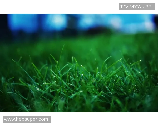 足球明星高清绿色壁纸精选展现运动魅力与自然和谐之美 足球明星高清绿色壁纸精选展现运动魅力与自然和谐之美