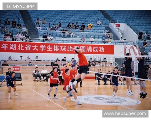 武汉排球队个人能力提升的热议与未来发展探讨