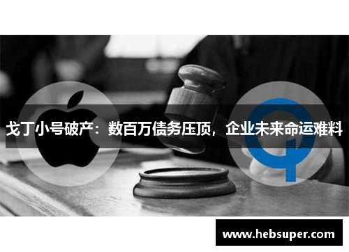 戈丁小号破产：数百万债务压顶，企业未来命运难料